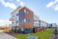 Property photo of 1/41 Clare Burton Crescent Franklin ACT 2913