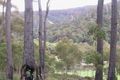 Property photo of Nicklasons Road Pyengana TAS 7216