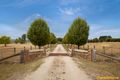 Property photo of 425 Gwydir Highway Glen Innes NSW 2370