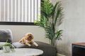 Property photo of 206/63-65 Victoria Street Beaconsfield NSW 2015