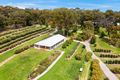 Property photo of 916 Old Hume Highway Alpine NSW 2575