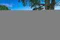 Property photo of 12 Robertson Street Hastings VIC 3915