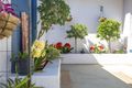 Property photo of 1/2A Cassia Place Catalina NSW 2536
