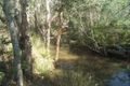 Property photo of 714 Knockroe Road North Isis QLD 4660