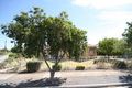 Property photo of 29 Lindsay Street Camden Park SA 5038