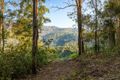 Property photo of 6 Kirk Road Cedar Creek QLD 4520