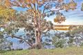 Property photo of 16 Lake Vue Parade Midway Point TAS 7171