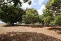 Property photo of 45 South Isis Road South Isis QLD 4660