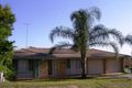 Property photo of 12 Diamantina Close St Clair NSW 2759