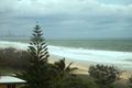 Property photo of 44/387 Golden Four Drive Tugun QLD 4224