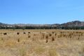 Property photo of 233 Nimbo Road Brungle NSW 2722
