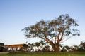 Property photo of 17 Kookaburra Circuit Cowes VIC 3922