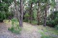 Property photo of 10 Coen Close Millbridge WA 6232