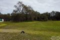 Property photo of 14 Kangaroo Loop Birchmont WA 6214
