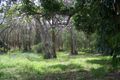 Property photo of 81 Western Road Macleay Island QLD 4184