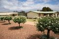 Property photo of 39 Turner Street Condobolin NSW 2877