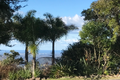 Property photo of 250-254 Guanaba Road Tamborine Mountain QLD 4272