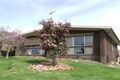 Property photo of 26 Robert Street Myrtleford VIC 3737