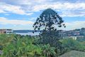 Property photo of 5/313A Edgecliff Road Woollahra NSW 2025