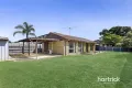 Property photo of 31 Baxter Avenue Chelsea VIC 3196