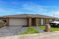 Property photo of 11 Wills Terrace Burnside Heights VIC 3023