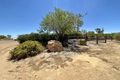 Property photo of 35 Allenby Street Koorda WA 6475