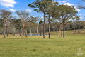 Property photo of 273 Joadja Road Mandemar NSW 2575