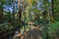 Property photo of 210 King Road Mooloolah Valley QLD 4553
