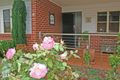 Property photo of 14 Capo Lane Tamborine Mountain QLD 4272