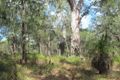Property photo of 412 Capricornia Drive Deepwater QLD 4674