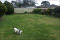 Property photo of 18 Moxham Street Cranebrook NSW 2749