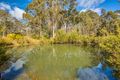 Property photo of 119 Priestleys Lane Birralee TAS 7303