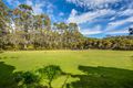 Property photo of 119 Priestleys Lane Birralee TAS 7303
