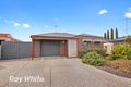 Property photo of 11 Blackbird Circuit Lara VIC 3212