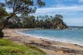 Property photo of 5/440-442 Beach Road Sunshine Bay NSW 2536
