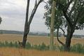Property photo of 362 Gribbles Road Jancourt East VIC 3266