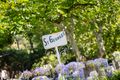 Property photo of 2/43 St Georges Road Toorak VIC 3142
