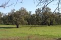 Property photo of 117 Lower Tarcutta Road Tarcutta NSW 2652