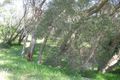 Property photo of 4 Sandra Court Rye VIC 3941