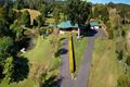 Property photo of 36 Dungogie Drive Tallebudgera QLD 4228