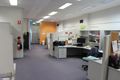 Property photo of 6 Ellingworth Parade Box Hill VIC 3128