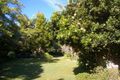 Property photo of 21 Cockburn Street Valla Beach NSW 2448