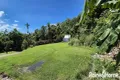 Property photo of 1295 Mossman-Daintree Road Rocky Point QLD 4873