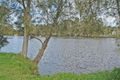 Property photo of 23 Wolseley Avenue Tacoma NSW 2259