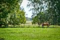 Property photo of 49 Riverside Drive Urunga NSW 2455