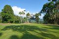 Property photo of 771 Tomewin Mountain Road Currumbin Valley QLD 4223