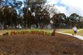 Property photo of 11 Forace Street Casey ACT 2913