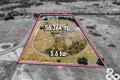 Property photo of 191 William Street Wallan VIC 3756