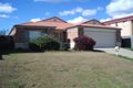 Property photo of 43 Williams Street Wakerley QLD 4154