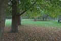 Property photo of 299 Riddles Brush Road Johns River NSW 2443